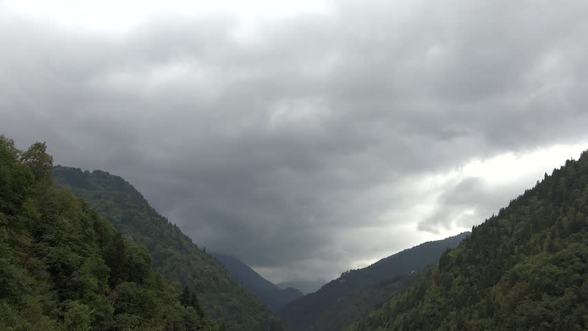 Time-lapse nature view of pine trees in Mount Aspiring National Park forests in New Zealand. Dense conifer woods and alpine wilderness create a cinematic scene of southern landscapes.