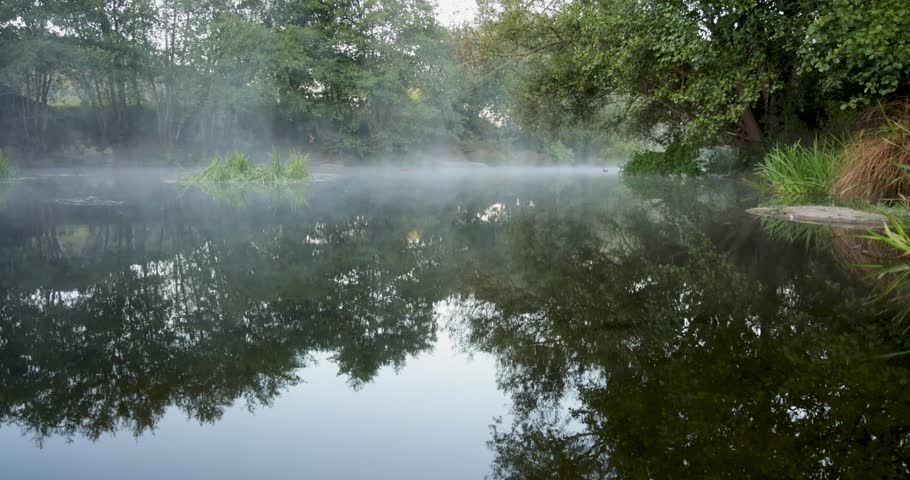 A foggy morning on a lake with trees in the background. The water is calm and still, with a few ripples visible. The misty atmosphere gives the scene a serene and peaceful mood