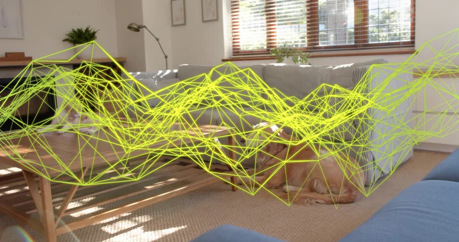 Yellow wireframe wave starting left sweeping room highlighting sunlit rug as dog glancing, resting. Cozy, interior, modern, warmth, relaxation, ambient, design