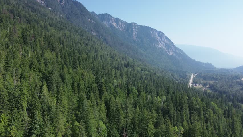 A stunning aerial view from a mountainside, looking down on a dense pine forest. A highway snakes through the valley below, leading towards a hazy, distant mountain range.