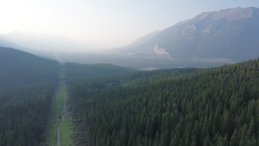 A high-altitude drone shot follows a long, straight path cut through a dense pine forest. This man-made corridor leads towards a vast and misty mountain range in the background.
