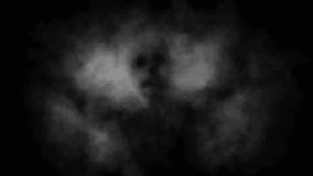 Dark horror 2D animation for Halloween. Creepy atmosphere, monster, haunted place, ghostly light, camera shake. For scary scene, dark intro and spooky edits. Vj loops. Black and white background. - Powered by Shutterstock - Get 15% off with code: PIKWIZARD15