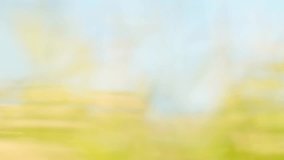 Motion Blur Abstract Background: Fast Speed Lines of Green and Yellow Light Loop - Powered by Shutterstock - Get 15% off with code: PIKWIZARD15