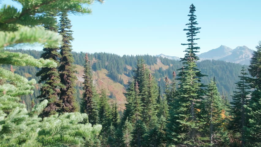 View the Natural Wonders of Mt Rainier National Park, WA, USA