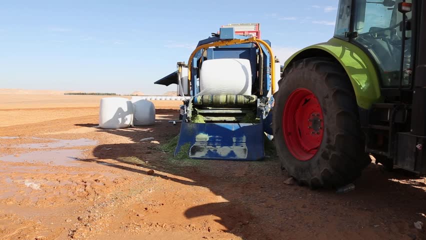 A tractor and machinery processing hay bales in a field on a sunny day. The bales are wrapped in white plastic and stacked. The scene is rural.