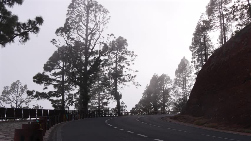 Winding Mountain Road Through Tall Pine Trees With Red Earth Cliff and Overcast Sky in Scenic Landscape