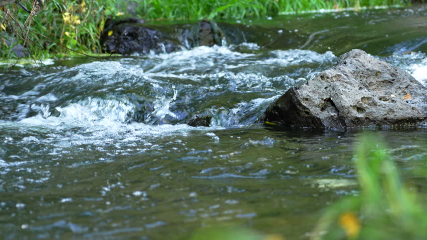 Peaceful mountain stream flowing over rocks in green nature