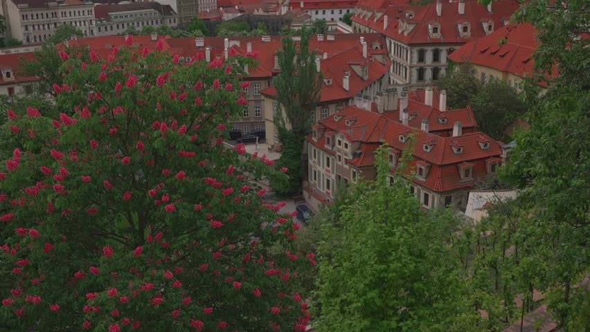Summer cityscape of Prague with red rooftops.