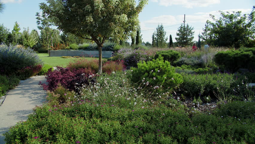 Landscape park with diverse plants and central tree