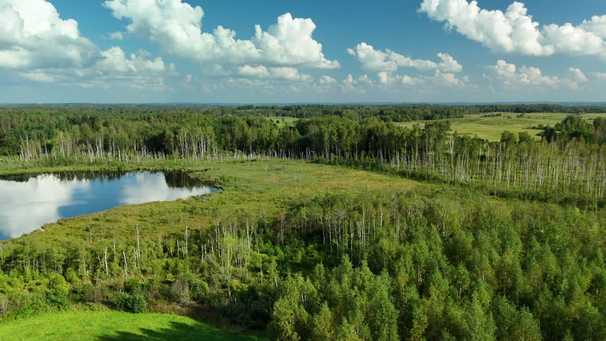 Aerial view of vibrant green latvian swamps with dark reflective water and scattered trees under a blue sky.