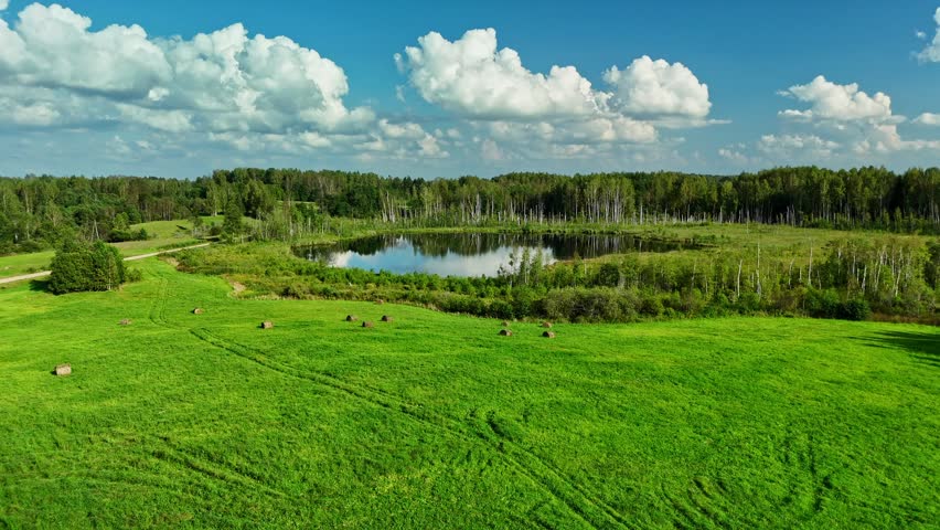 Vibrant blue water reflects puffy white clouds above lush green trees bordering the still, serene latvian swamps.
