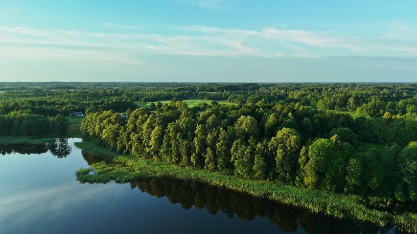 Aerial view of a dark lake reflecting a dense green forest under a bright blue sky with wispy clouds.
