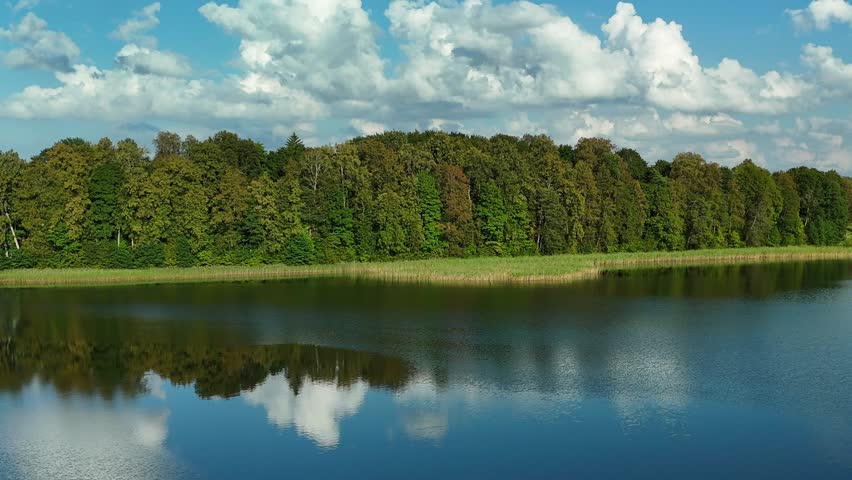 Calm blue lake reflects green trees under a bright blue sky with fluffy white clouds on a sunny day.