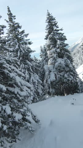 FPV DRONE: Flying between snowy mountain spruces towards snow-covered meadow. Winter wonderland in gorgeous alpine landscape. Mountain forest and pastures under blanket of snow in middle of winter.