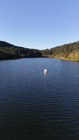 Still lake water with floating buoys surrounded by green forest under a clear sky