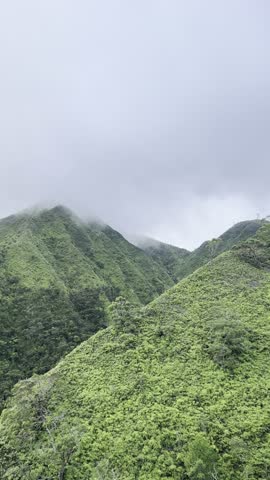 Fog over green mountain peaks