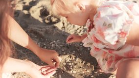 Child collects seashells on the beach while a caregiver assists, enjoying a sunny day by the shore during summer in a joyful moment of exploration - Powered by Shutterstock - Get 15% off with code: PIKWIZARD15