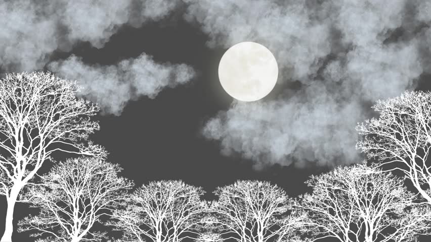 Moonlit night nature forest view. Bright moon night tree scenery. This video was created using Canva’s free elements with original composition and creative modifications.
