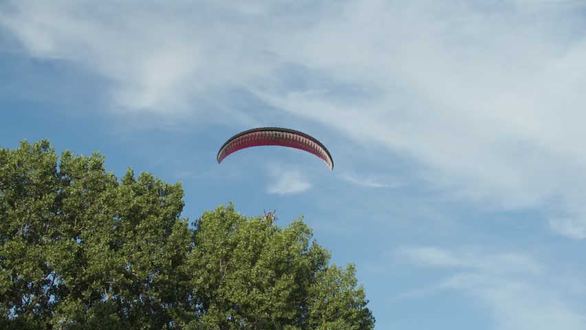 Paraglider flying past a tree in the sky of Wisconsin 4k