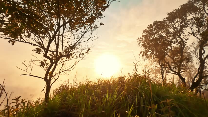 Cinematic View of Sunlight Breaking Through Clouds After Rain on Mountain Top, Peaceful Landscape