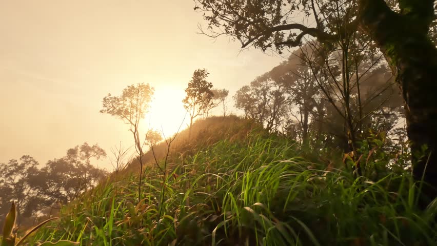 First-Person View: Hiking on Mountain Trail, Sunlight Breaking Through Clouds After Rain on Mountain Top, Peaceful Landscape