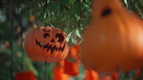 Halloween pumpkin lantern hanging on tree branch outdoors in daylight, spooky jack o lantern decoration with smiling scary face, autumn holiday festive background, Halloween celebration and seasonal. - Powered by Shutterstock - Get 15% off with code: PIKWIZARD15