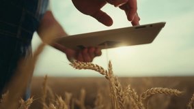 Innovation and computer technology in farming, farmer using tablet, closeup. Professional agronomist or ecologist inputting data in program for agribusiness, strategy of agribusiness development - Powered by Shutterstock - Get 15% off with code: PIKWIZARD15