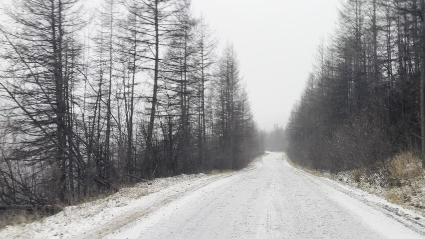 Snow-covered road winds through a quiet, wooded landscape. A serene winter scene with a path leading into the forest.