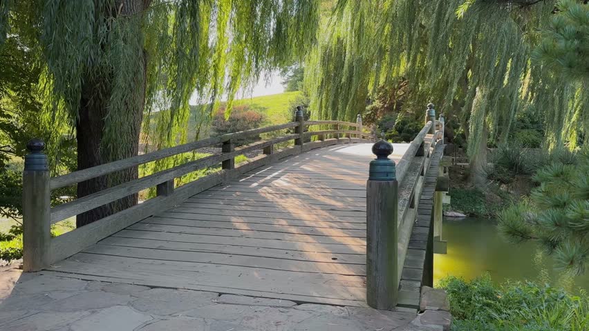 Peaceful wooden bridge in Chicago Botanic Garden on a sunny day