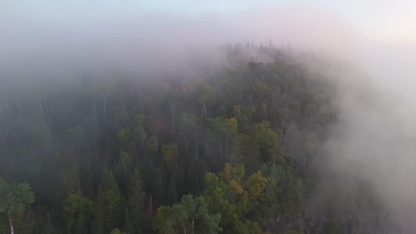 A gentle morning fog drifts over an Ontario forest as early autumn colors begin to appear