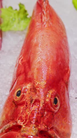 Freshly Caught Red grouper fishes, Red Mullet At Fish Market. Fresh fish on display on ice on fishermen market store shop.