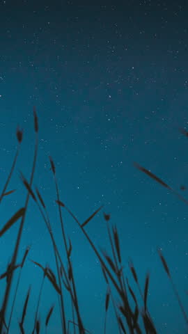 Night Starry Sky With Glowing Stars And Meteoric Track Trails Above Green Young Wheat Field In Summer Agricultural Season. Rotate Background Time Lapse, TimeLapse, Time-Lapse. Bottom View.