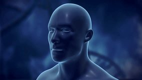 Translucent human head with glowing intricate red-blue wireframe hologram brain. 3d render animation 4k - Powered by Shutterstock - Get 15% off with code: PIKWIZARD15