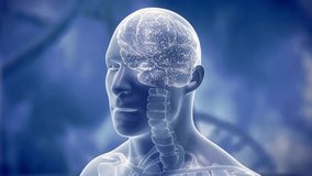 Translucent human head with glowing intricate red-blue wireframe hologram brain. 3d render animation 4k - Powered by Shutterstock - Get 15% off with code: PIKWIZARD15