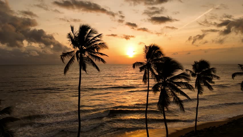 Aerial view of a golden sunset over the ocean, framed by silhouetted palm trees, creating a tranquil scene of tropical beauty, Waikkal, North Western Province, Sri Lanka.