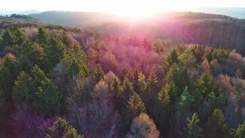 Mountains with dense forest in bright sunlight