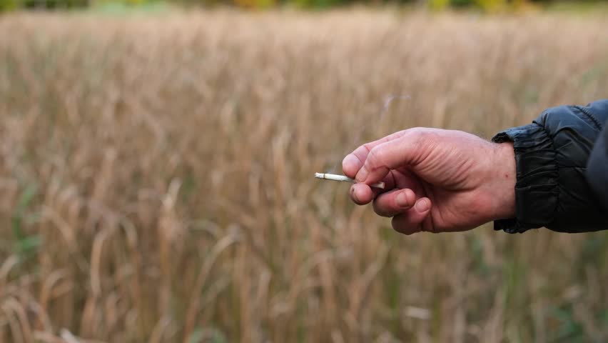 Working Hand Holding a Cigarette with Smoke on a Blurred Background of Fading Nature. Short Rest, Nature Contemplation, a Quiet Thought. World Philosophical Perception.