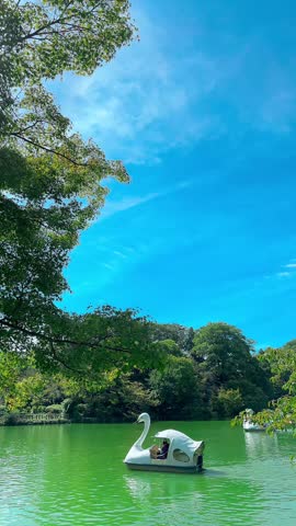 The view of duck boats at Inokashira Park in Kichijoji, Tokyo