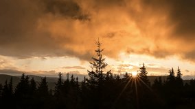 Time lapse of golden sunset and sunrise over evergreen forest silhouettes with dramatic cloudy sky and sunburst rays breaking through tree canopy - Powered by Shutterstock - Get 15% off with code: PIKWIZARD15