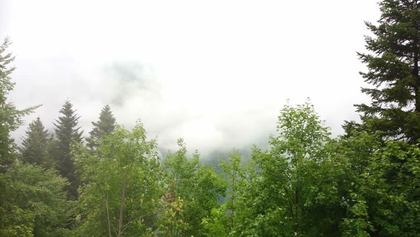 Low lying clouds on a mountain area of pine trees in South France. Aerial video heads out straight forwards before panning down revealing the drop into the valley with the fog over the dense forest.