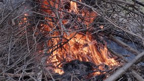 Fire burning through a pile of branches The flames are bright orange and yellow contrasting with the gray and brown branches Smoke is also visible - Powered by Shutterstock - Get 15% off with code: PIKWIZARD15