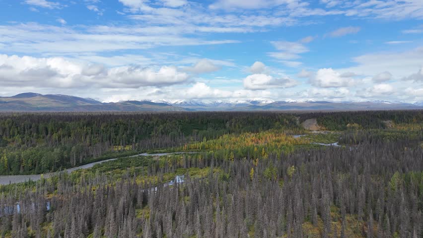 Scenic Drone Flight near Denali National Park