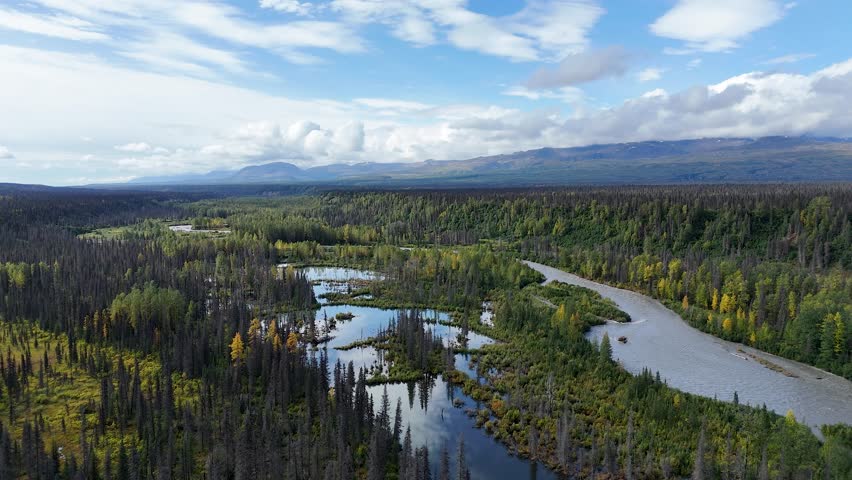 Scenic drone flight over river with fall foliage colors