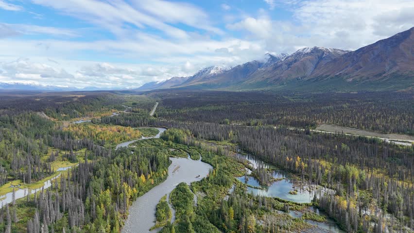 Cinematic Drone Flying over Fall Foliage