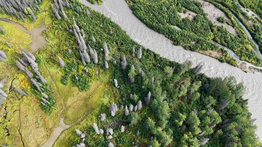 Cinematic Drone Flying over River in Alaska during Fall Foliage