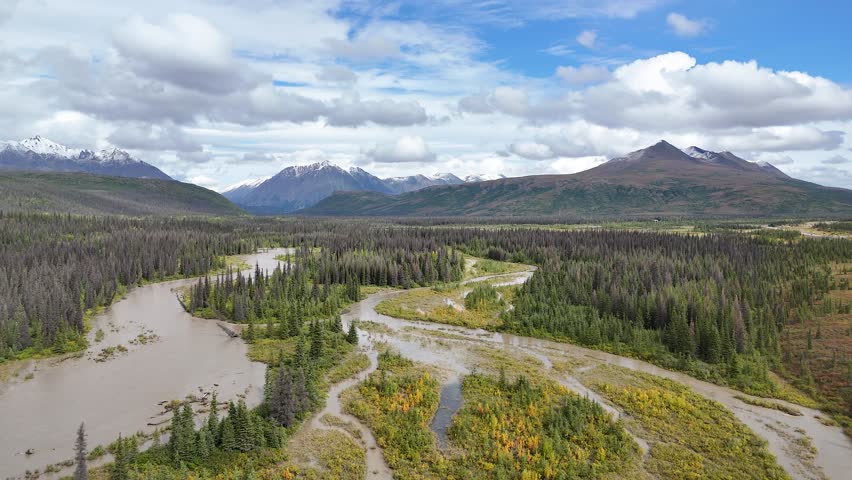 Drone Orbit over Beautiful Fall Colors near Denali National Park