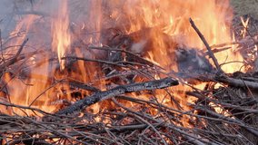 Fire burning branches Pile of wood is engulfed in flames with smoke rising Danger of wildfires exists in dry conditions Heat and light are visible - Powered by Shutterstock - Get 15% off with code: PIKWIZARD15