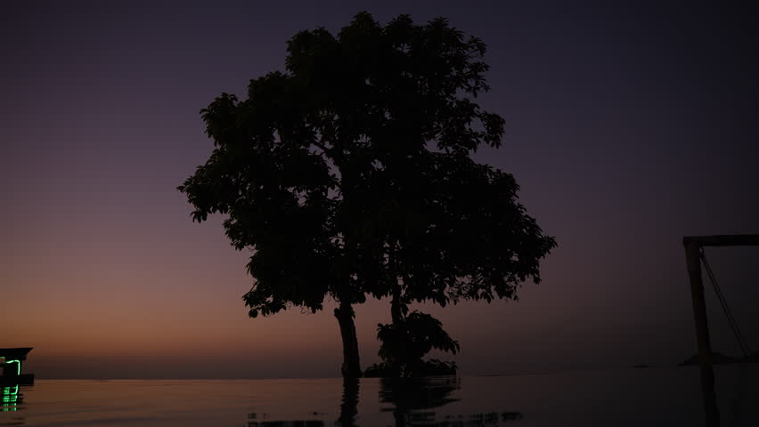 A tree reflects in pool water as the sun sets, creating a tranquil island scene.