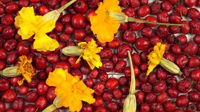 Dried plants and berries for medicinal teas and decoctions, hawthorn berries and marigolds. Natural background, top view. - Powered by Shutterstock - Get 15% off with code: PIKWIZARD15