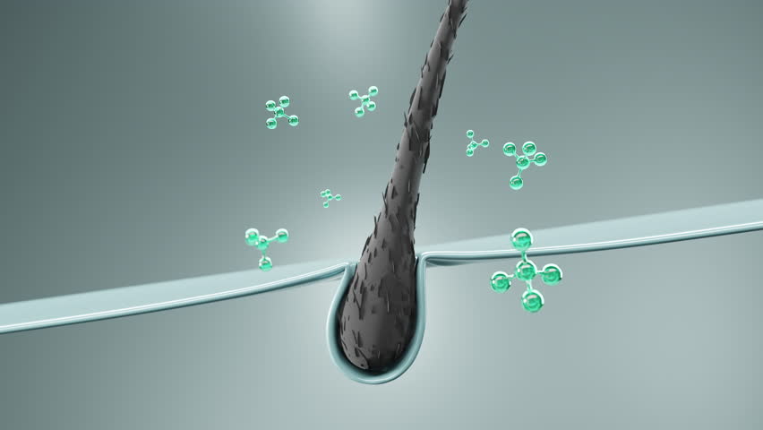 Animation of molecules penetrating the hair follicle, showing advanced serum absorption, root repair and scalp treatment for hair growth and anti-hair loss care.